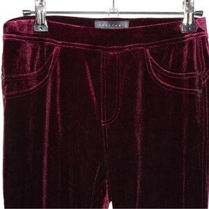 Sanctuary Rich Burgundy Velvet Apparel